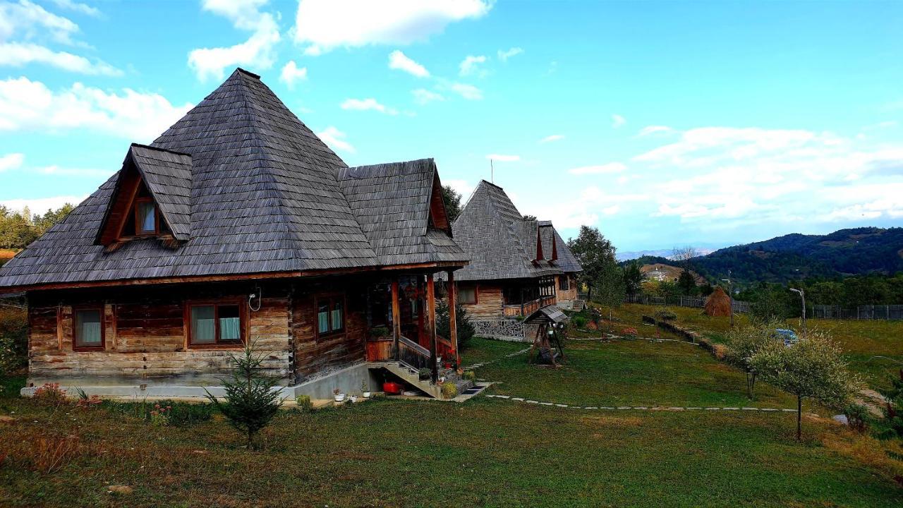 Casele De Vacanta Luca & Vicentiu Botiza Exterior photo